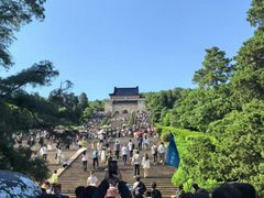 -紫金山山顶公园