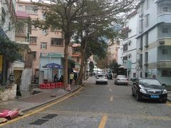 -梧桐山风景名胜区