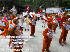 亲子游-松山湖南湖湾露营营地