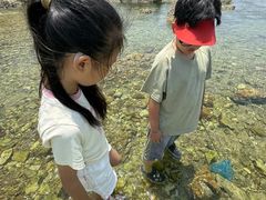 -养马岛旅游度假区