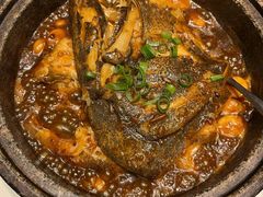 -海派美食·家宴海鲜青岛菜·石锅鲽鱼头(东方城店)