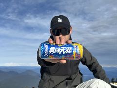 -峨眉山报国寺