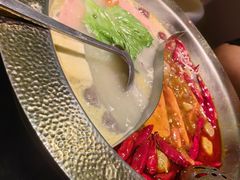 -麻田会 ·鲜活现烹·牛蛙火锅(珠江新城维家思广场店)
