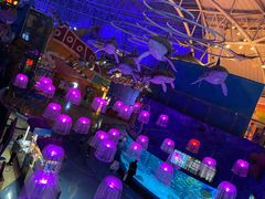 -烟台海昌鲸鲨海洋公园