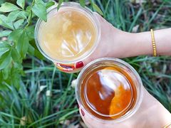 -炖物24章·顺时轻养茶(黄龙店)