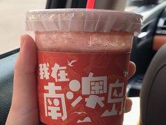 -南澳岛打卡果汁冰公司