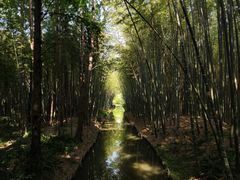 -同里国家湿地公园