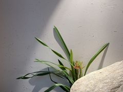 -蜜桃餐厅·伴山(绿宝广场店)