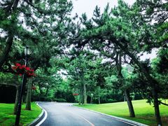 -棒棰岛宾馆景区