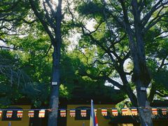 -西园戒幢律寺