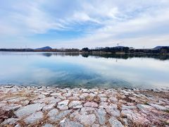 -羊山湖公园