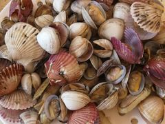 -港畔赶海蒸汽海鲜烧烤自助(仙螺岛店)