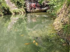 -雁荡山风景名胜区-小龙湫
