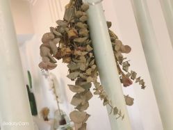 -俪颜·美甲美睫