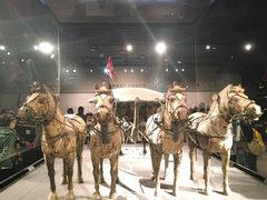 -秦始皇帝陵博物院-丽山园