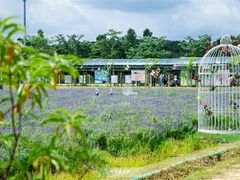 游乐设施-盈香心动乐园