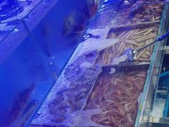 -77号渔船·蒸海鲜青岛菜(积米崖店)