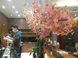 -红人馆造型世爵国际