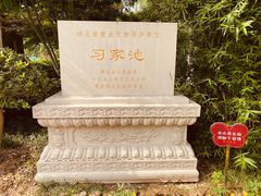 -习家池