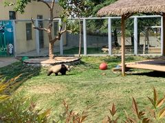 -西安秦岭野生动物园