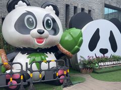 -都江堰中华大熊猫苑