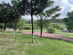 -钟山体育运动公园