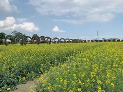 -迪茵湖田家舍生态农场