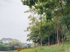 -深圳国际园林花卉博览园