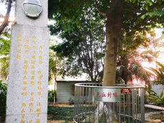 -广州神农草堂中医药博物馆