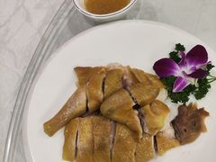 -大东海海鲜酒楼(渔人码头总店)