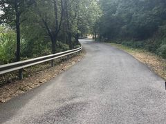 -东天目山风景区