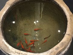-黔蘑菇四季餐厅(观山湖店)