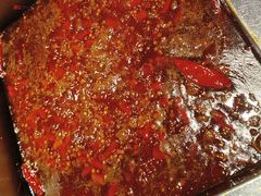 -二荆条·蜀鲜汇城市森林火锅