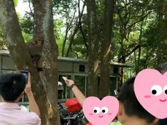 -广州市石门国家森林公园