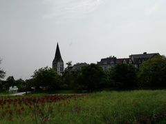 -美的鹭湖森林度假区