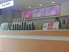 -雾与山茶(大禹城店)