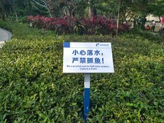 -石溪公园