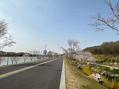 -羊山湖公园