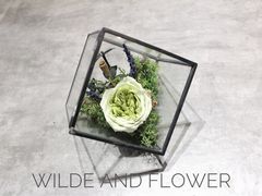 -王尔德与花