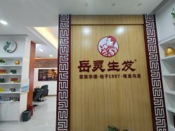 -岳灵生发养发馆