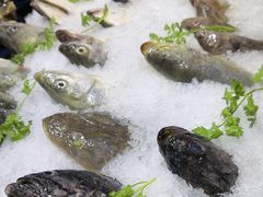 -蓝港海鲜厨房(闽江路店)