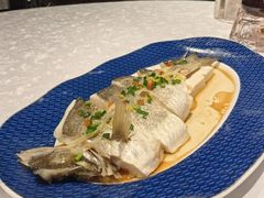 清蒸海鲈鱼-红棉中餐厅·广州海航威斯汀酒店