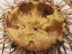 -海胆小馆(东北水饺·春柳店)