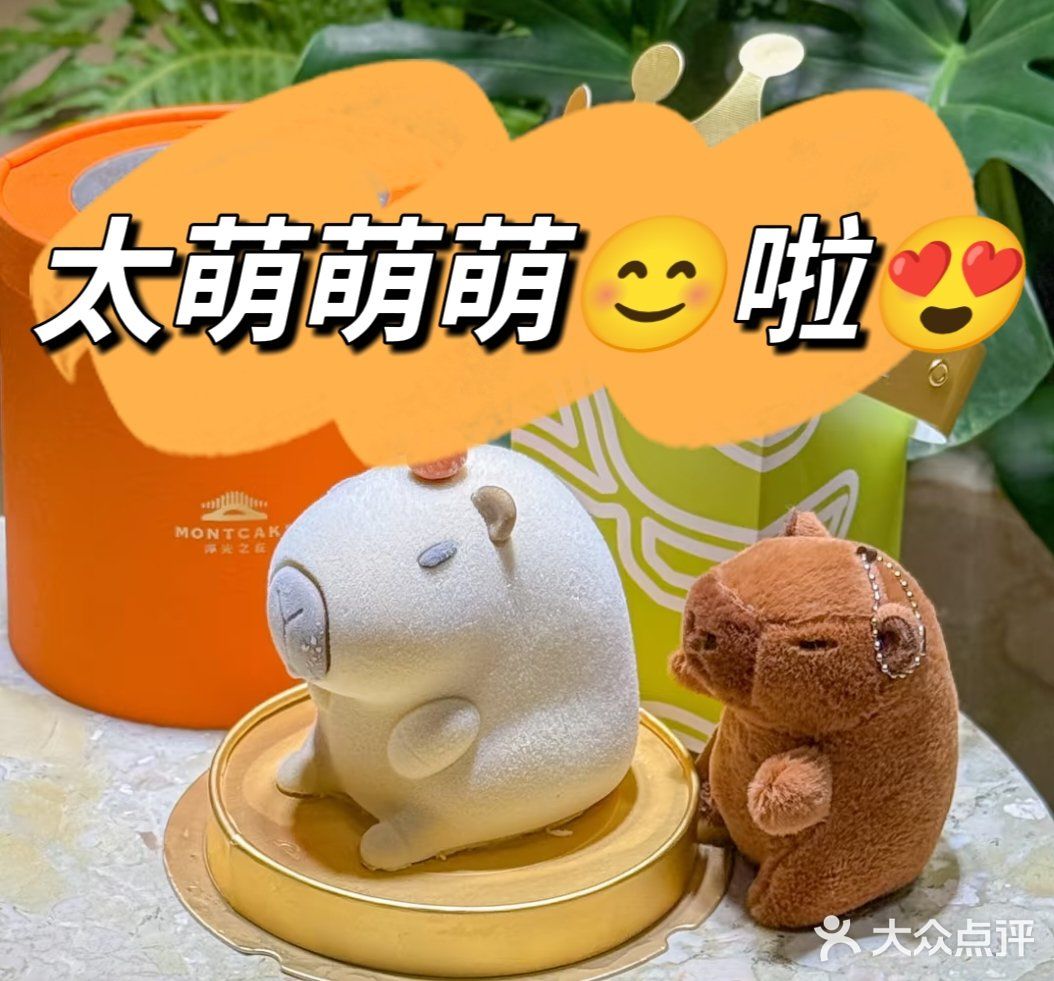 我那双子座闺蜜肯定喜欢……
