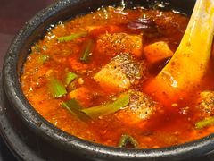 -陈麻婆豆腐总店