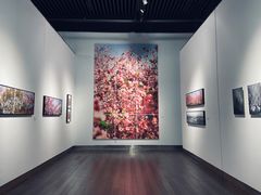 -南京书画院金陵美术馆