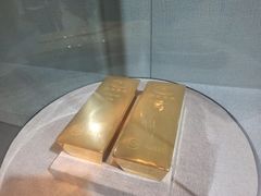 -烟台自然博物馆