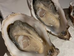 法国黑珍珠-Oyster Talks 四度蚝法餐厅