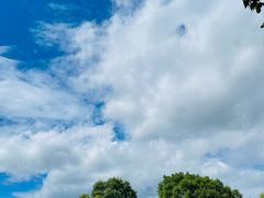 -沈阳森林动物园