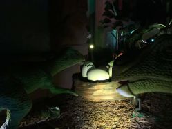 -恐龙探索乐园(磁器口店)